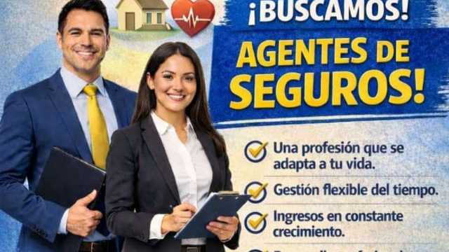Agente de Seguros