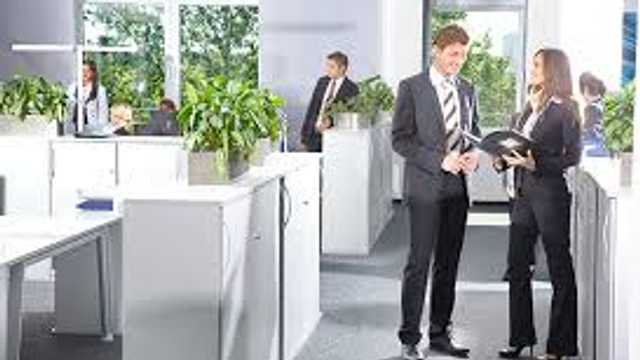 AGENTE DE SEGUROS EXCLUSIVOS