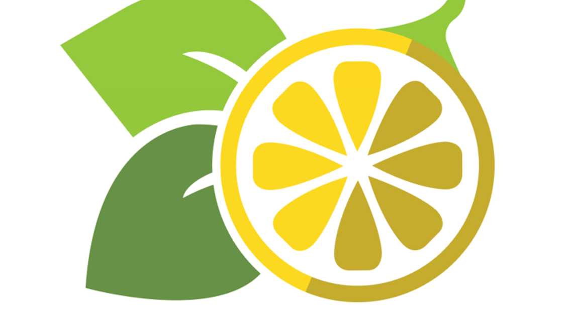 Lemon Tree Hair Salons cover image
