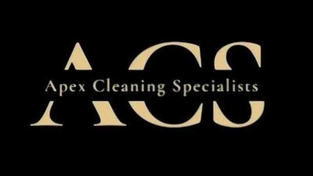 Cleaner