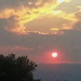 Miguel B. avatar icon