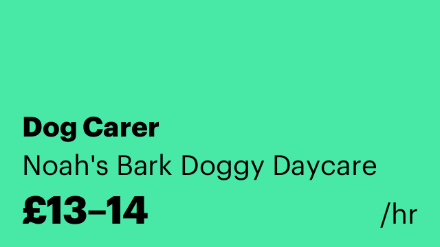 Dog Carer