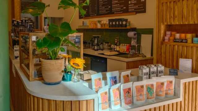 Barista