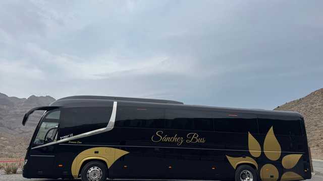 CONDUCTOR DE AUTOBUS EN GRAN CANARIA