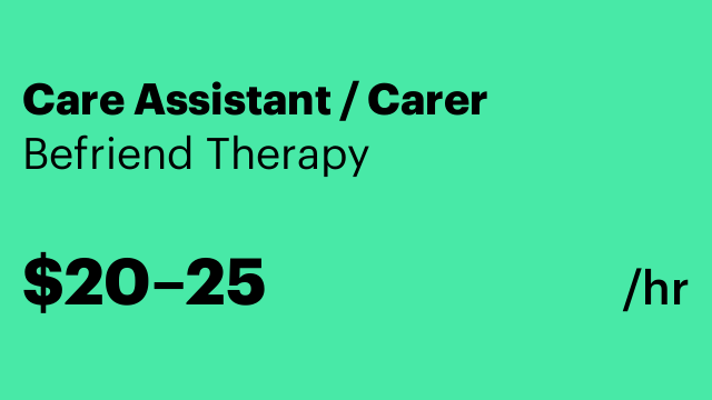 Care Assistant / Carer