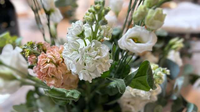 Camarero/a de Eventos