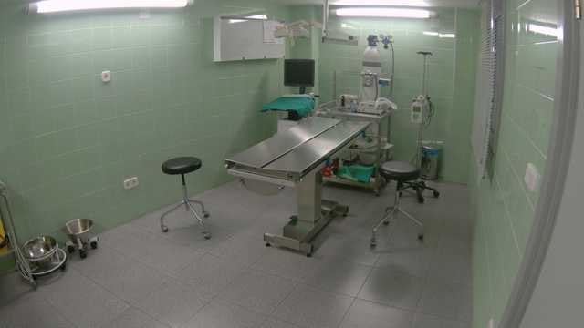 PELUQUERA DE PEQUEÑOS ANIMALES