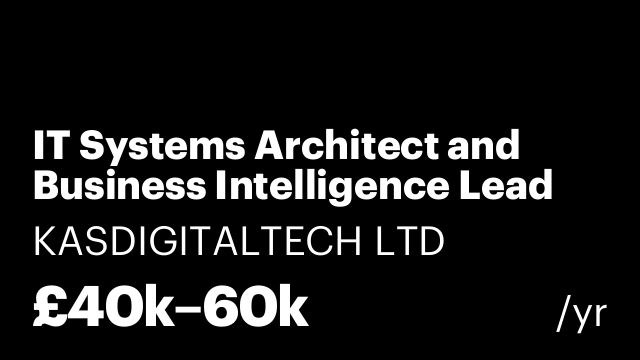 IT Systems Architect and Business Intelligence Lead