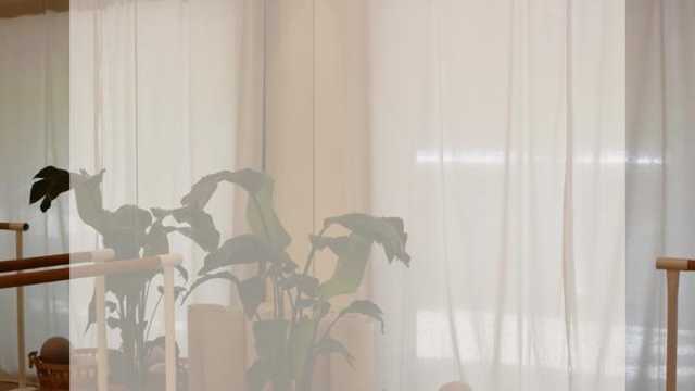 Especiaista en admisiones - Closer de ventas