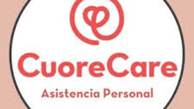 Auxiliar de ayuda a domicilio