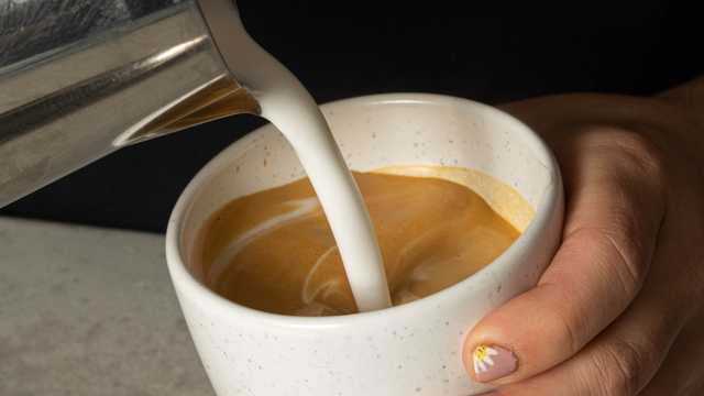 Barista