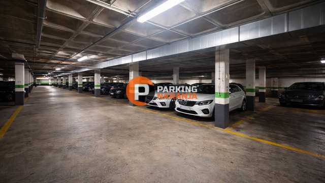 Agente de parking y conductor