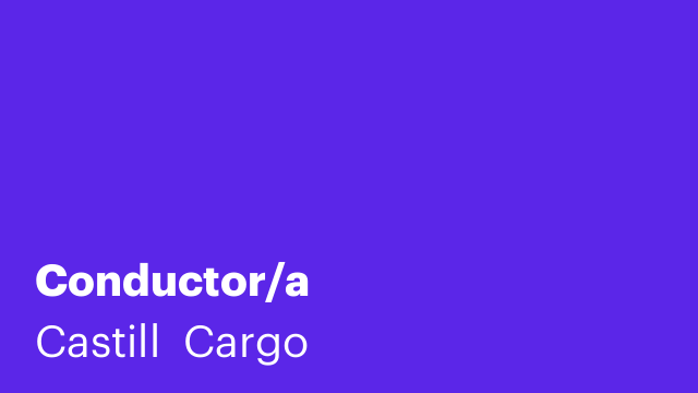 Conductor/a