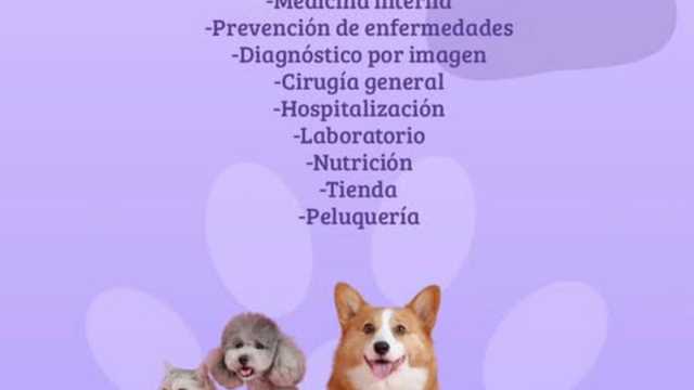 Veterinario/a