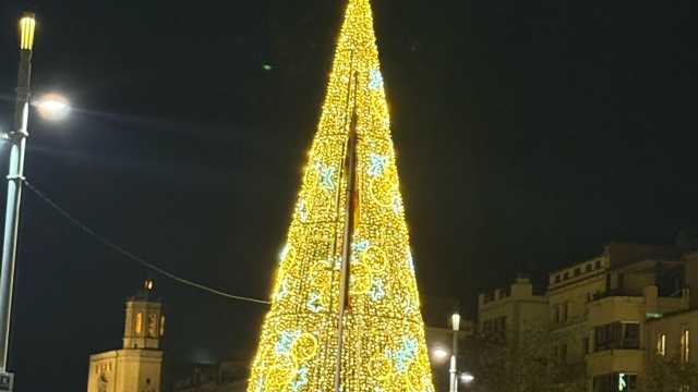 Camarero/a de Sala/Terraza
