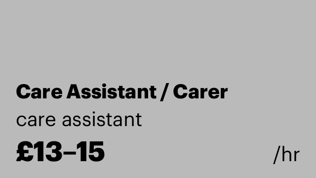 Care Assistant / Carer