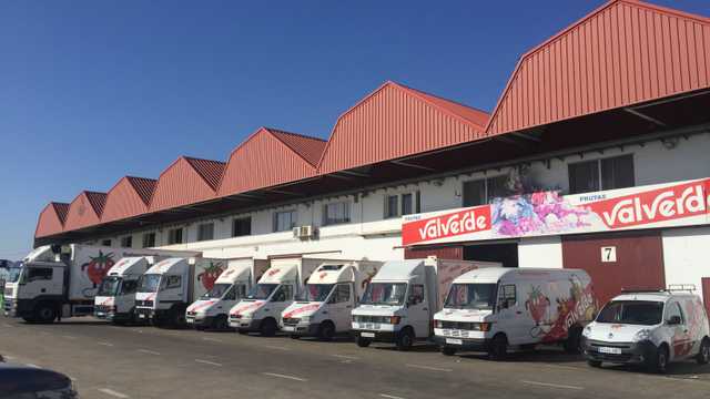 conductor repartidor