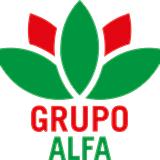 Grupo Alfa A. avatar icon