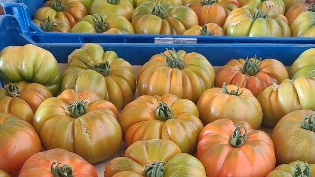 Ayudante/a de Dependiente/a