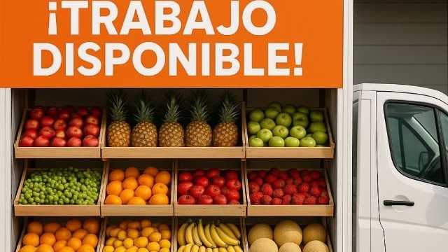 Conductor Repartidor