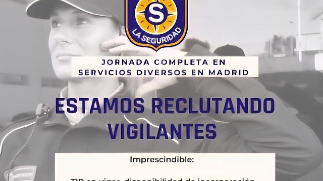 Vigilante de Seguridad