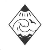 Salmar Group logo