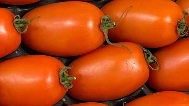 Personal Assistant (PA)