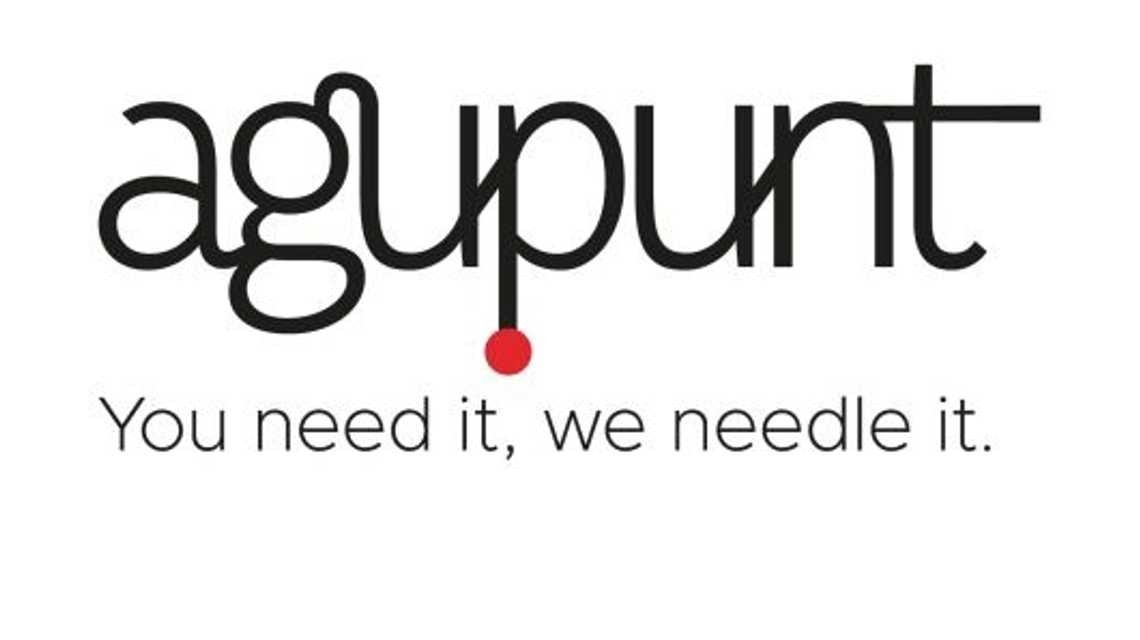 Agupunt cover image