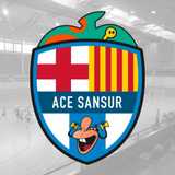 ACE S. avatar icon