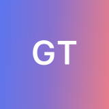 Giorgi T. avatar icon