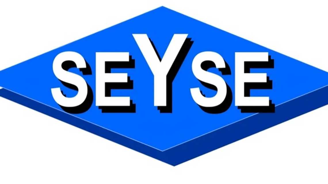 SEYSE Seguridad y Seguimiento SL  cover image