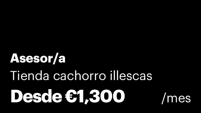 Asesor/a