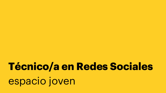 Técnico/a en Redes Sociales