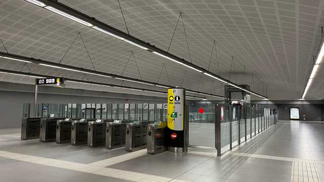 Cuidador/a de Personas Mayores