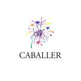 EVENTOS BN CABALLER, S.L logo