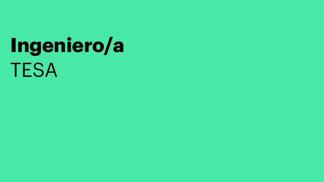 Ingeniero/a