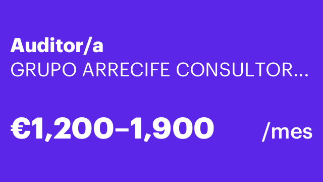 Auditor/a