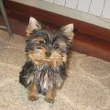 David G. avatar icon