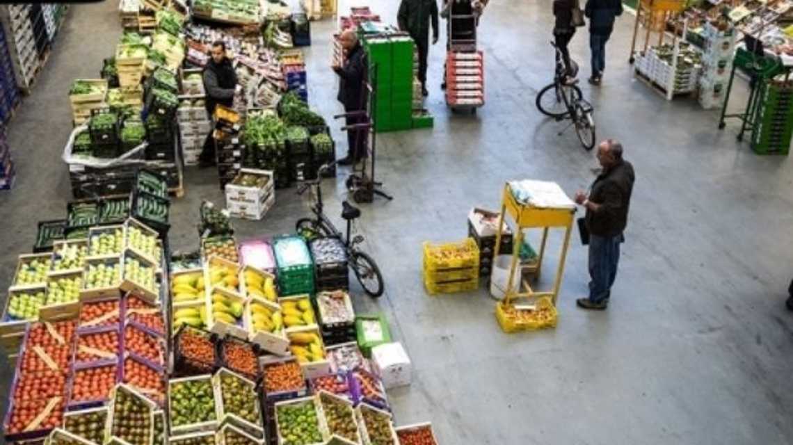 Alfa sol Verde  cover image