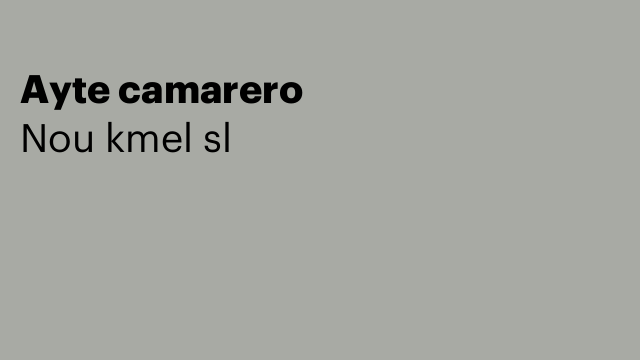 Ayte camarero