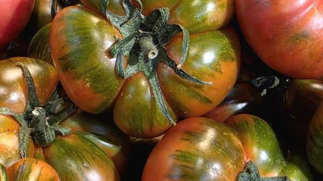 Frutero/a