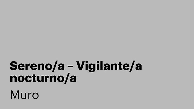Sereno/a – Vigilante/a nocturno/a