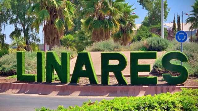 Repartidor/a en Moto _ URGENTE  Linares
