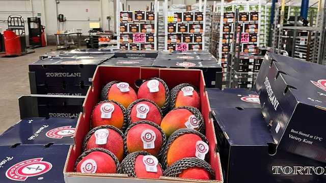 Promotor/a Comercial