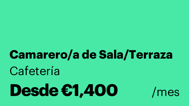 Camarero/a de Sala/Terraza