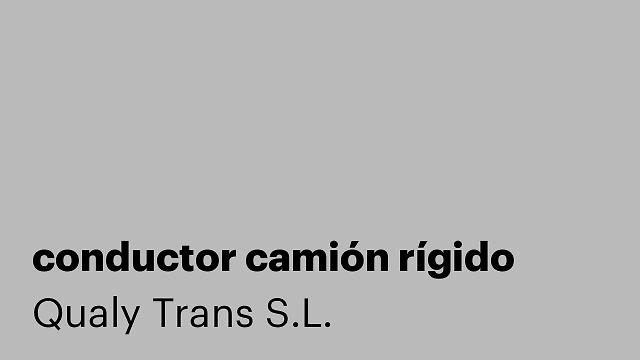 conductor camión rígido