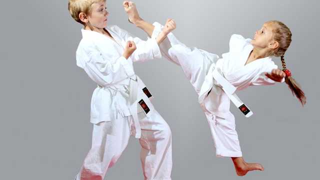 Profesor/a de Artes Marciales