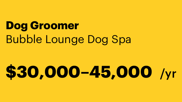 Dog Groomer