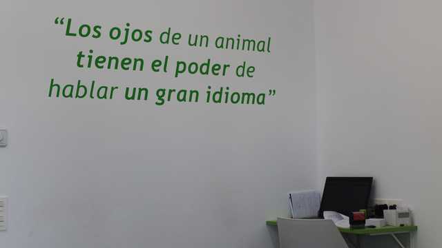 Veterinario/a
