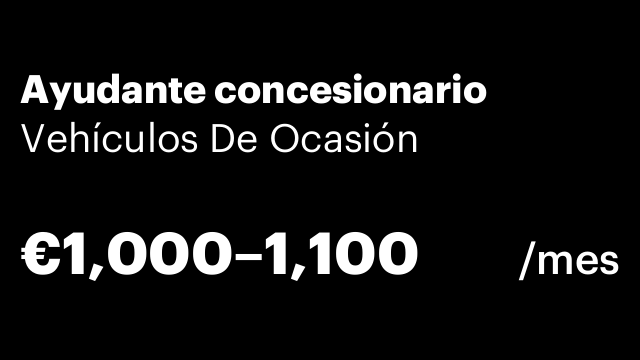 Ayudante concesionario